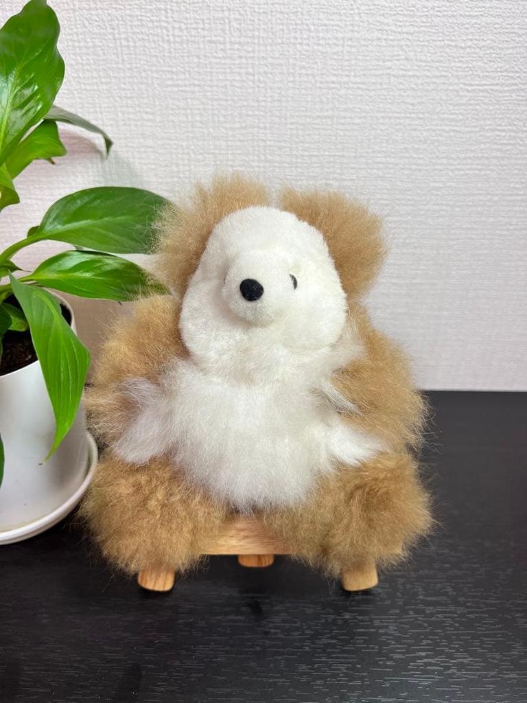 [USED] Alpaca Teddy Bear, 100% Baby Alpaca, Small