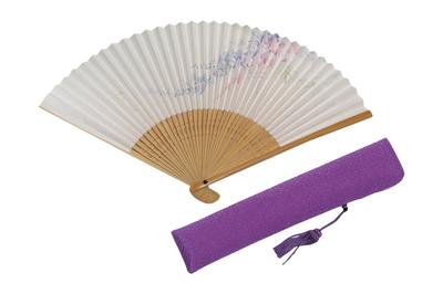 Hasegawa Folding Fan with Pouch and Presentation Made In Japan Flower Women's Box, (Wisteria Design)