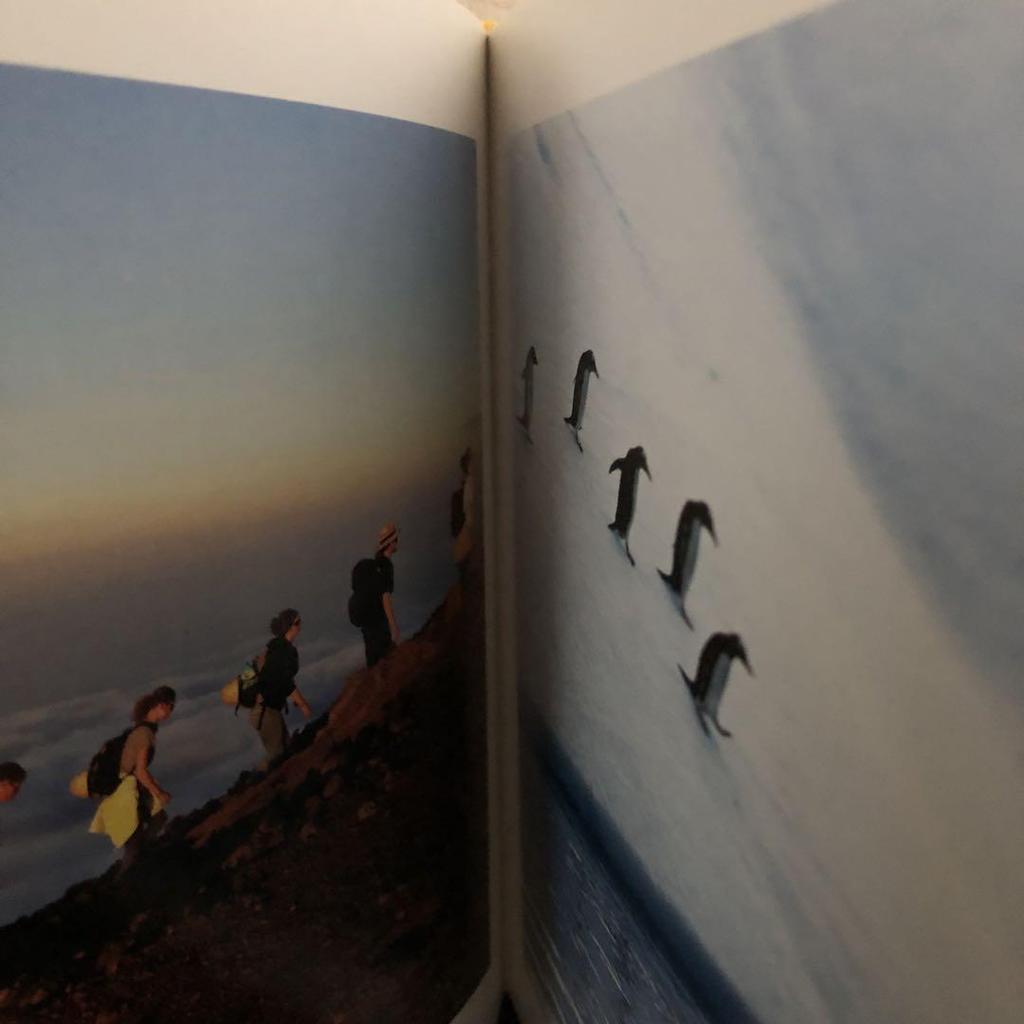 [USED] The Most Popular Instagram Photos NATGEO