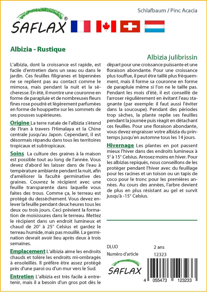 SAFLAX Pinc Akazie - 50 Samen - Albizia julibrissin