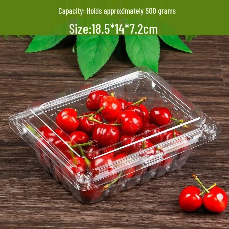Disposable Plastic Fruit Containers with Lids (50-Pack)