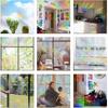 Ouligay 33pcs Prism Window Decals to Prevent Bird Strikes Prevention Window Stickers for Birds Anti-Collision Circle Windows Clings for Bird Rainbow