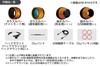 Panasonic HX-A1H-K Wearable Camera Black