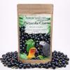 Premium Parrot Food - Ekologiczna Czarna Porzeczka - Dla Wszystkich Papug 100G