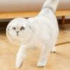 Cats Muzzles Breathable Transparent Muzzle Grooming Mask Astronaut Helmet Updated Vent Holes Anti-Bite for Nail Trimming