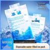Quick-Cool Disposable Ice Packs for Seafood & Popsicle Delivery