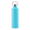 Stainless Steel Water Bottle with Handle Lid, Double Wall Vacuum Insulated Bottle for Sports Hiking Gym
