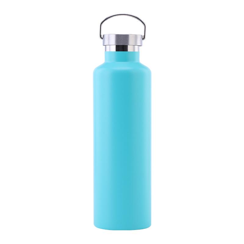 Stainless Steel Water Bottle with Handle Lid, Double Wall Vacuum Insulated Bottle for Sports Hiking Gym