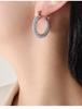Light Luxury Retro Titanium Gold U-Shaped Rhinestone Geometric Earrings for Women