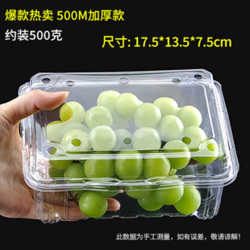

Chulv Disposable Transparent Plastic Food Containers with Lids, 100-Pack
