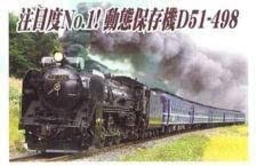

Micro Ace N Gauge A9500 Railway Model Steam Locomotive D51-498