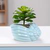 Cute Small Conch Succulent Plant Pots Conch Creative Ceramic Mini Mini Pots Desktop Shell Succulent Ceramic Planter
