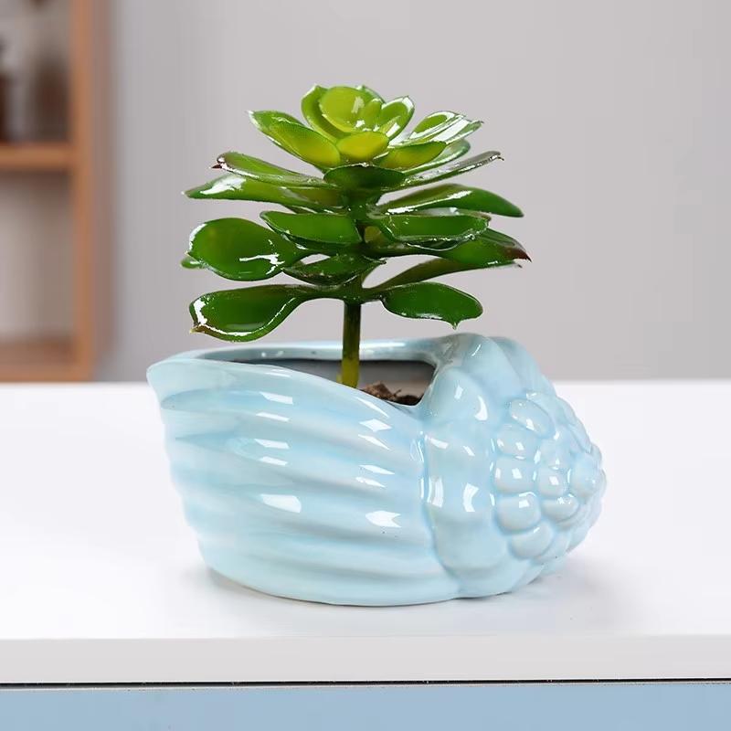 Cute Small Conch Succulent Plant Pots Conch Creative Ceramic Mini Mini Pots Desktop Shell Succulent Ceramic Planter