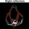 Dog Leash Small and Medium-sized Pets Chest Straps Prevent Breaking Free Walk A Dog Kitty Reflect Light Traction Rope Pet Supplies & Pet