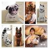 Kreatives 3D-Simulations-Hundekissen, Plüschtier Hund Stofftier für Kinder, Kurzer Plüschstoff, PP-Baumwollfüllung, Verschiedene Größen und Farben