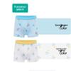 Boy's Cotton Boxer Briefs 2-Pack
