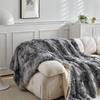 Double Mink Fleece Lamb Fleece Cotton Blanket Coral Fleece Ice Cream Long Hair Blanket Solid Color Simple Sofa Blanket