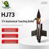 HJ73 Quarter Dissected Bomb Training Model