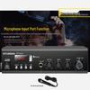 Amplificatore di Indirizzo Pubblico Bluetooth a Tensione Costante Hyundai Spina CN (adattatore incluso)