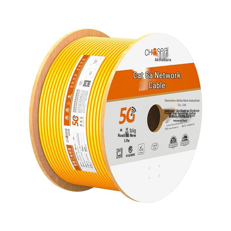 Choseal Cat6A 10 Gigabit Ethernet Cable