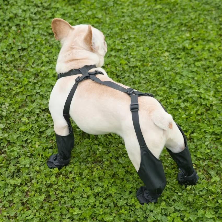 Cute and Classic Waterproof Leather Dog Paw Boot Leggings Modern Anti-Slip Outdoor Walking Shoes for Rainy Days