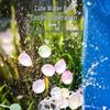 Automatic Knotting Water Balloon Filler - Kids' Summer Outdoor Essential
