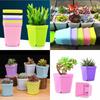 Mini Square Flower Pots Colorful Succulent Seedling Trays Plastic Nursery Planters DIY Plant Grow Boxes Garden Home Office Decor