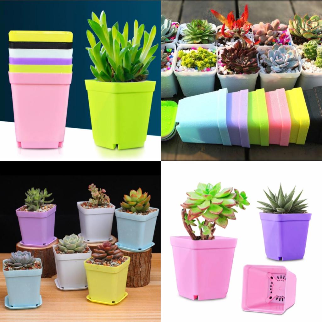 Mini Square Flower Pots Colorful Succulent Seedling Trays Plastic Nursery Planters DIY Plant Grow Boxes Garden Home Office Decor