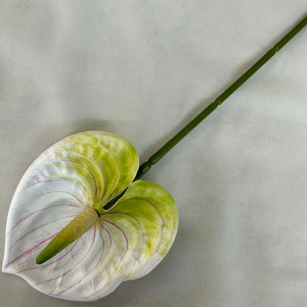 

Линден Андреанум Антуриум Мини Цветок Сделай сам Домашний Декор Реквизит Событие White Green