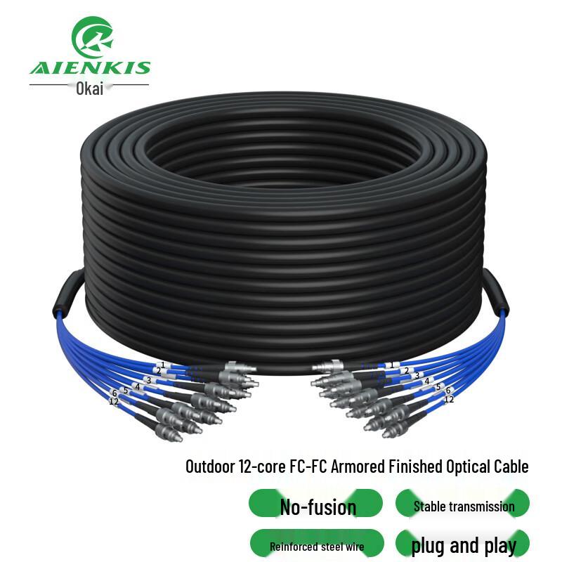 

AIENKIS AK-TW12 Series Outdoor 12-Core Single-Mode Armored FC-FC Fiber Optic Cable