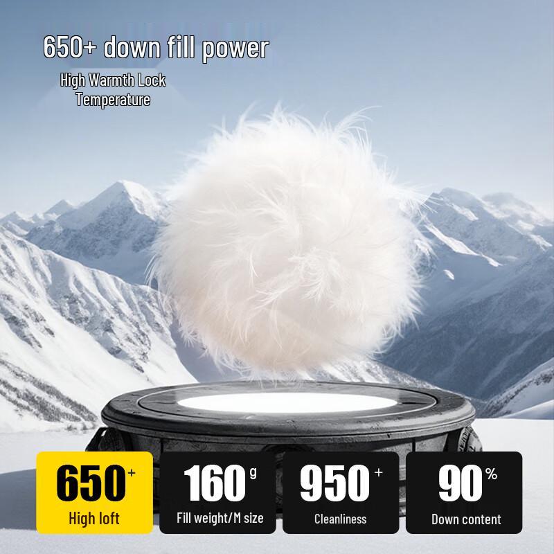 

CAMEL Women s Winter Hooded Puffer Down Jacket M25CAU7057 XL