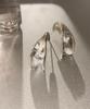 Reindeer Fragments Earring 13