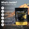 Advanced Shilajit Resin Gummies (60 Count) – 3,000mg Potency with Ashwagandha & Ginseng – Pure Fulvic Acid & Trace Minerals, Gelatin-Free