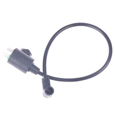 Zündspule passend für ET950 ET650 Gasgeneratormotor