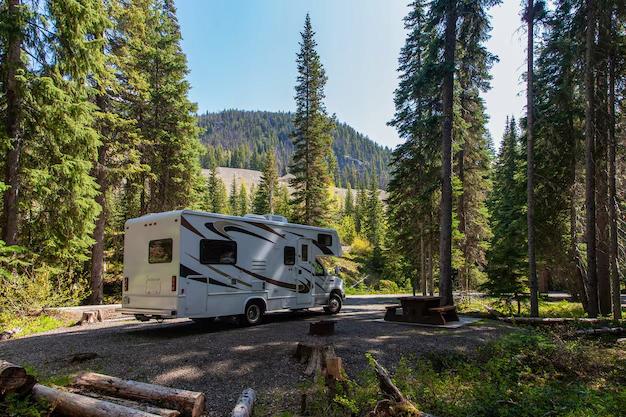 Starkes Flüssigkonzentrat für Campingtoiletten Toi Toi 5L Premium-Qualität