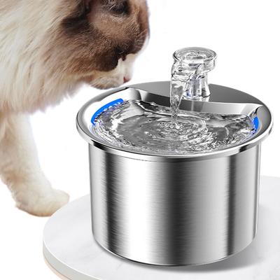 Mačky – Riady pre mačky