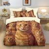Cute Cat Pattern Quilt Cover 3D Printed Kitten Bedding Set Bedroom Decoration With Zipper Single Twins Large Size Gift Bedding