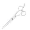 DEEDS GTZ White Scissors Thinning Scissors Thinning for Hairdressers and Includes Set of 2 [PF] (5.5 Inches) (Approx. 25% Rate) Barbers, Case,