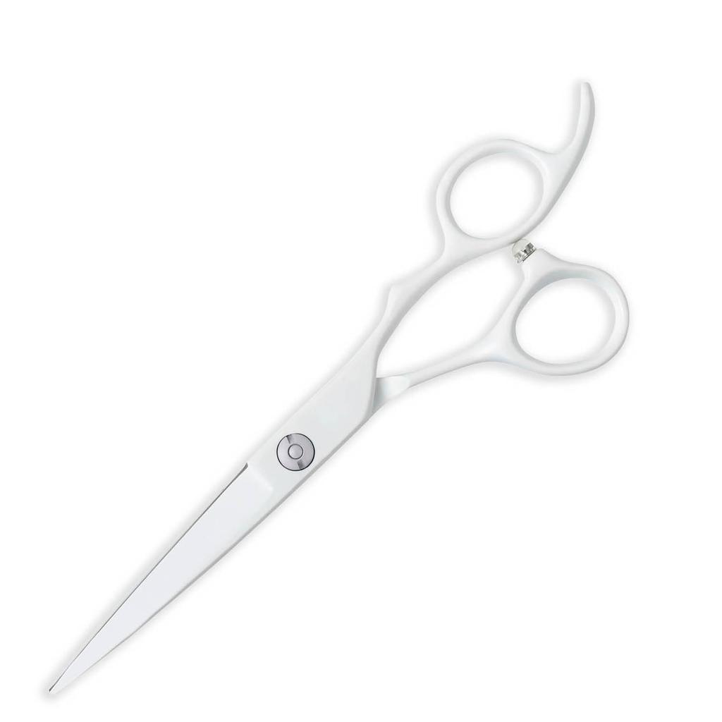 DEEDS GTZ White Scissors Thinning Scissors Thinning for Hairdressers and Includes Set of 2 [PF] (5.5 Inches) (Approx. 25% Rate) Barbers, Case,