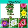 Artificial Morning Glory Silk Vine For Elegant Home And Garden Decoration**