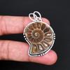 Natürlicher Ammonit Fossil Anhänger Silberbeschichtet Spiralmuschel Heilkristall Halskette Anhänger Schmuck Geschenk