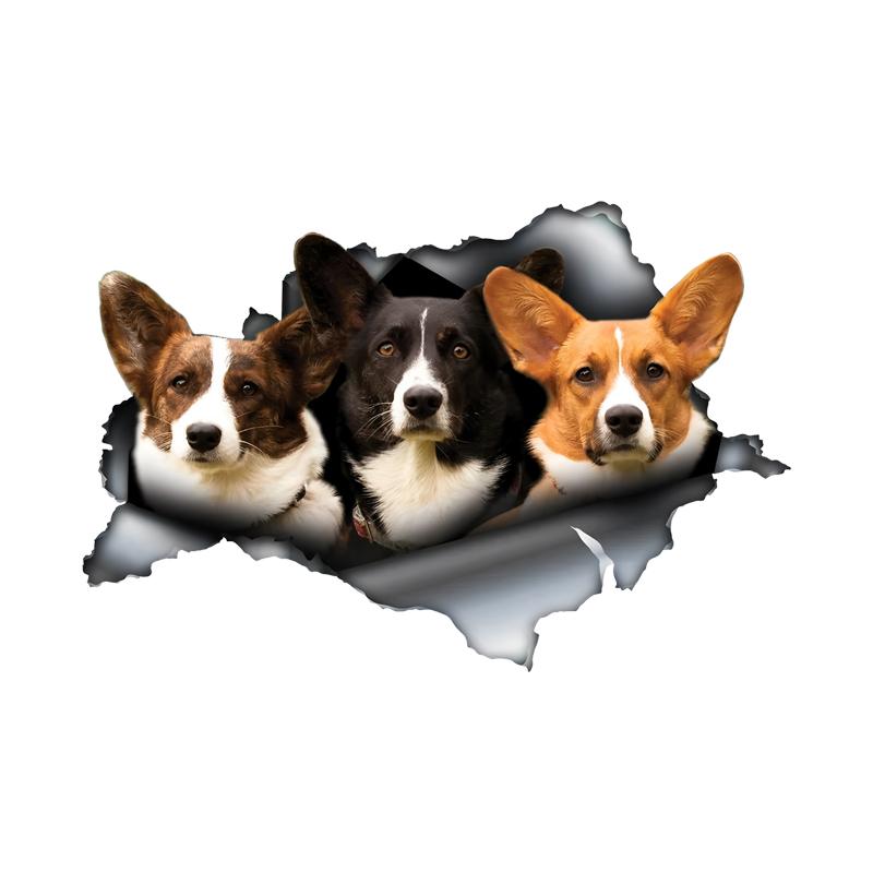 

Cute Corgi Hiding in the Hole Sticker, 1pc Funny Car Decal, Suitable for Cars, Trucks, Motorcycles, Walls 15cm-Longest Side