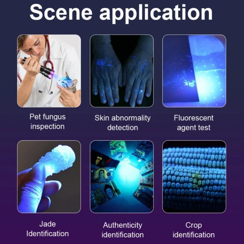 365nm UV Flashlight USB Rechargeable Aluminum Alloy Black Mirror Purple Light Curing Cat Tinea Pet Urine Stain Leakage Detection