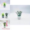 Artificial Succulent And Gypsophila Miniature Potted Plants For Home Decor And Gift Ideas