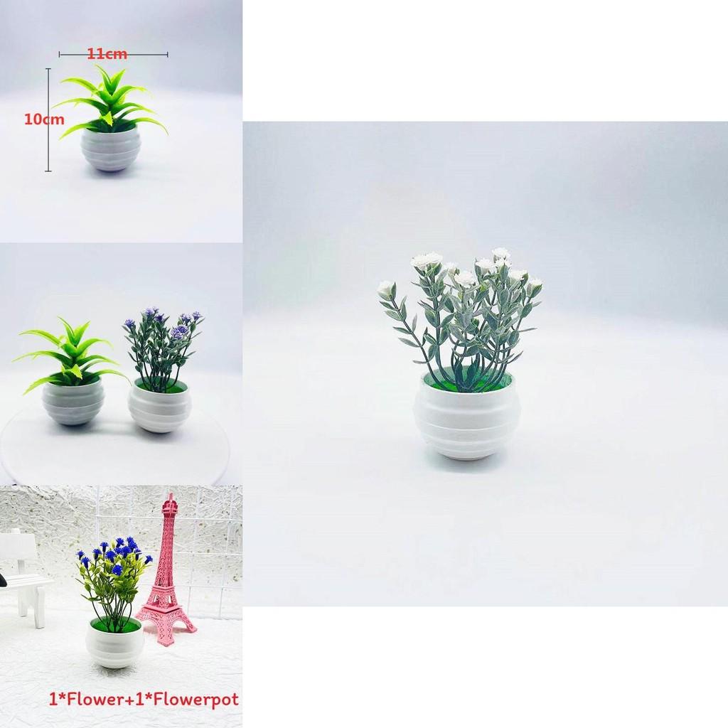 Artificial Succulent And Gypsophila Miniature Potted Plants For Home Decor And Gift Ideas