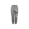 Spodnie sportowe Air Jumpman Męskie szare CD5873-071