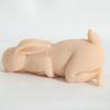 Neues Sexspielzeug für männliche Masturbation, 0,5 kg, Kaninchenmodell, realistischer Vaginalkanal, erwachsener männlicher Masturbator, Muschi kann eingeführt werden