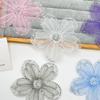 Simple Literary Mesh Sequin Flower Lace Cloth Sticker Diy Accessories Shoes And Hats Sweater Dress Decorative Accessories