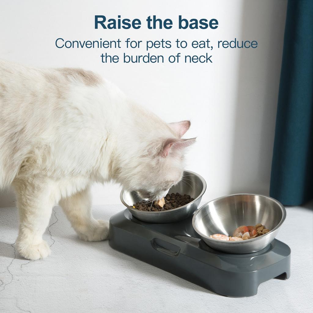 Adjustable Stainless Steel Cat Feeding Bowl Tilted Design Elevated Pet Food Dish Single Bowl Double Bowl Suitable for Cats and Small Pets