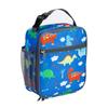 Insulated Oxford Picnic Lunch Bag with Ice Pack